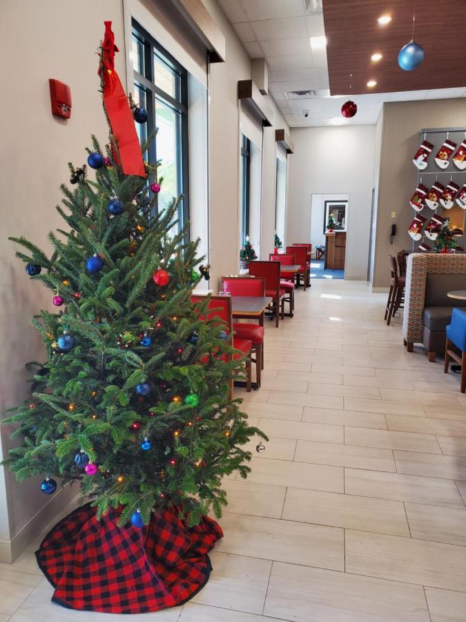 Holiday Inn Express St. Augustine - Vilano Beach By Ihg Eksteriør billede